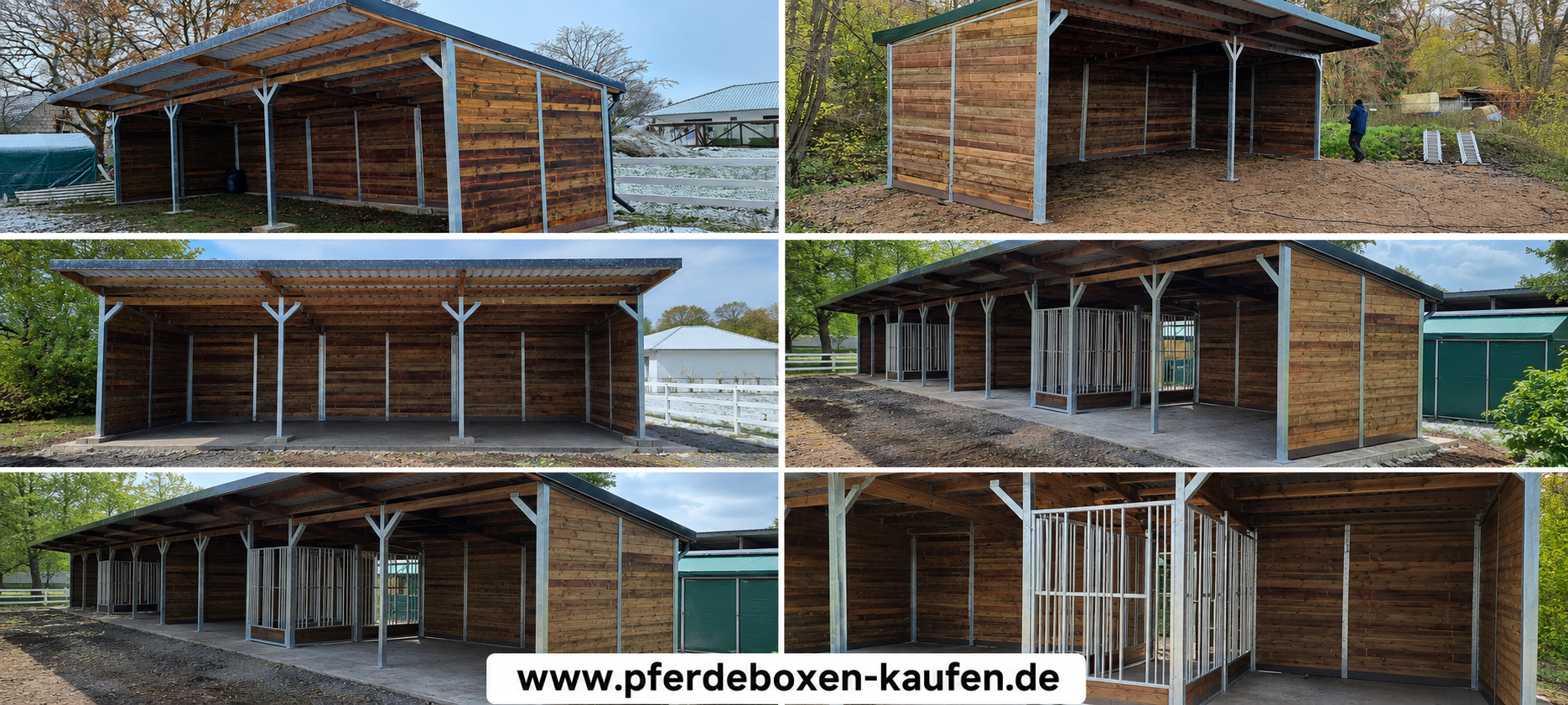 Field Shelter Horses | Open Stable & Shelter - Buy Horse Shelter - Photo 6