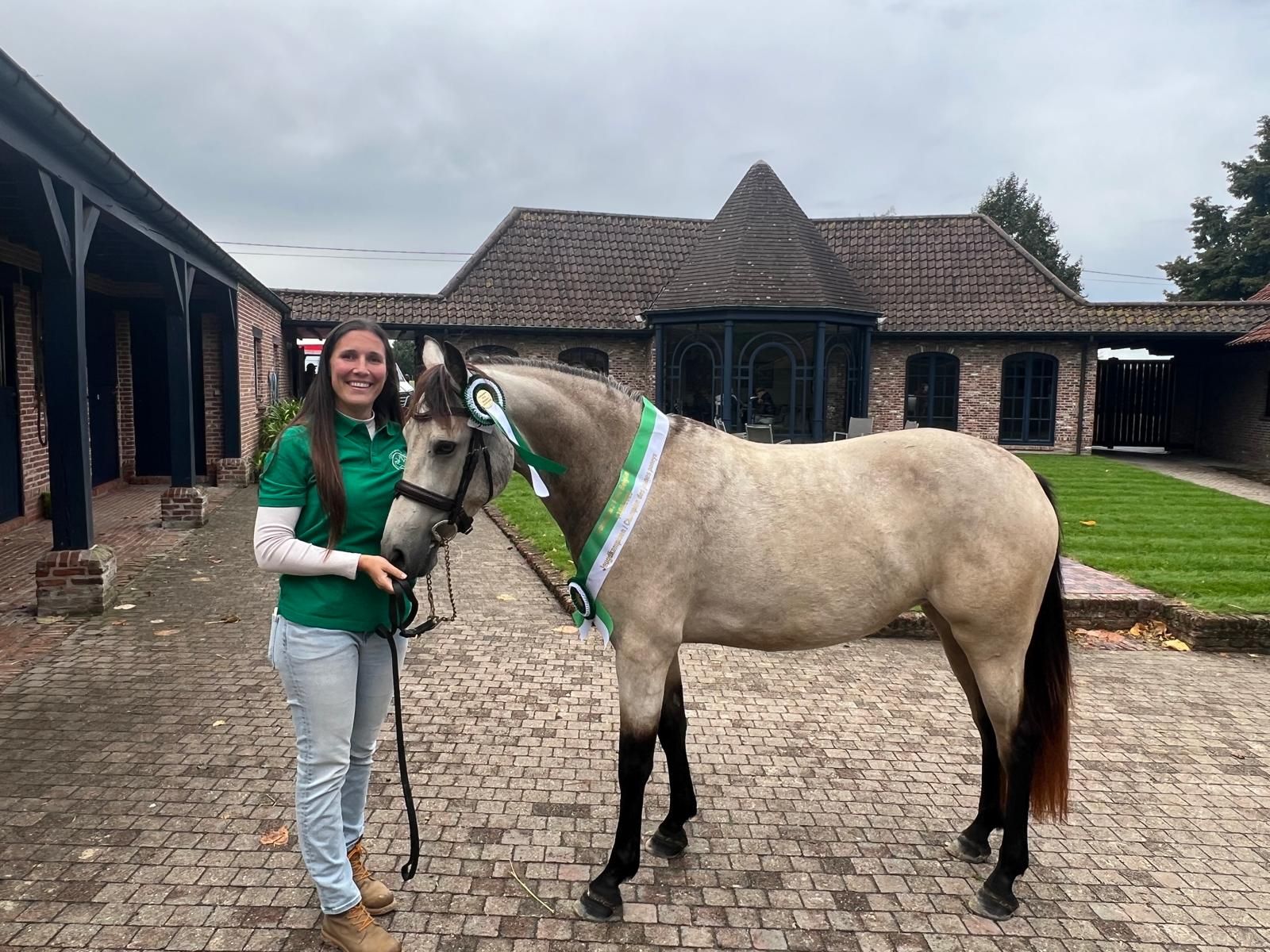 connemara springpony merrie 4 ani andere-kleur de vânzare - Foto 6