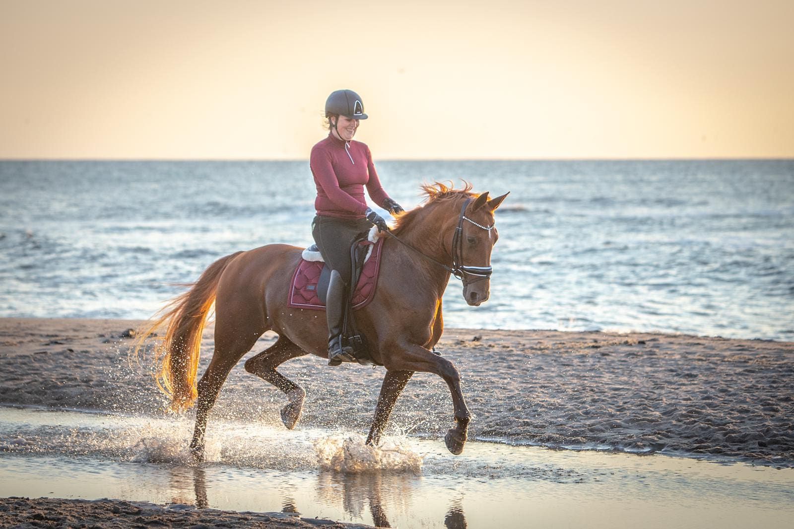 ❤️ Heleentje – veelzijdige, ervaren en ontzettend lieve merrie zoekt een nieuw thuis ❤️