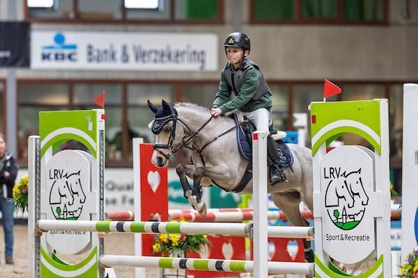 Frumos ponei de sărituri (b pony 1,27)