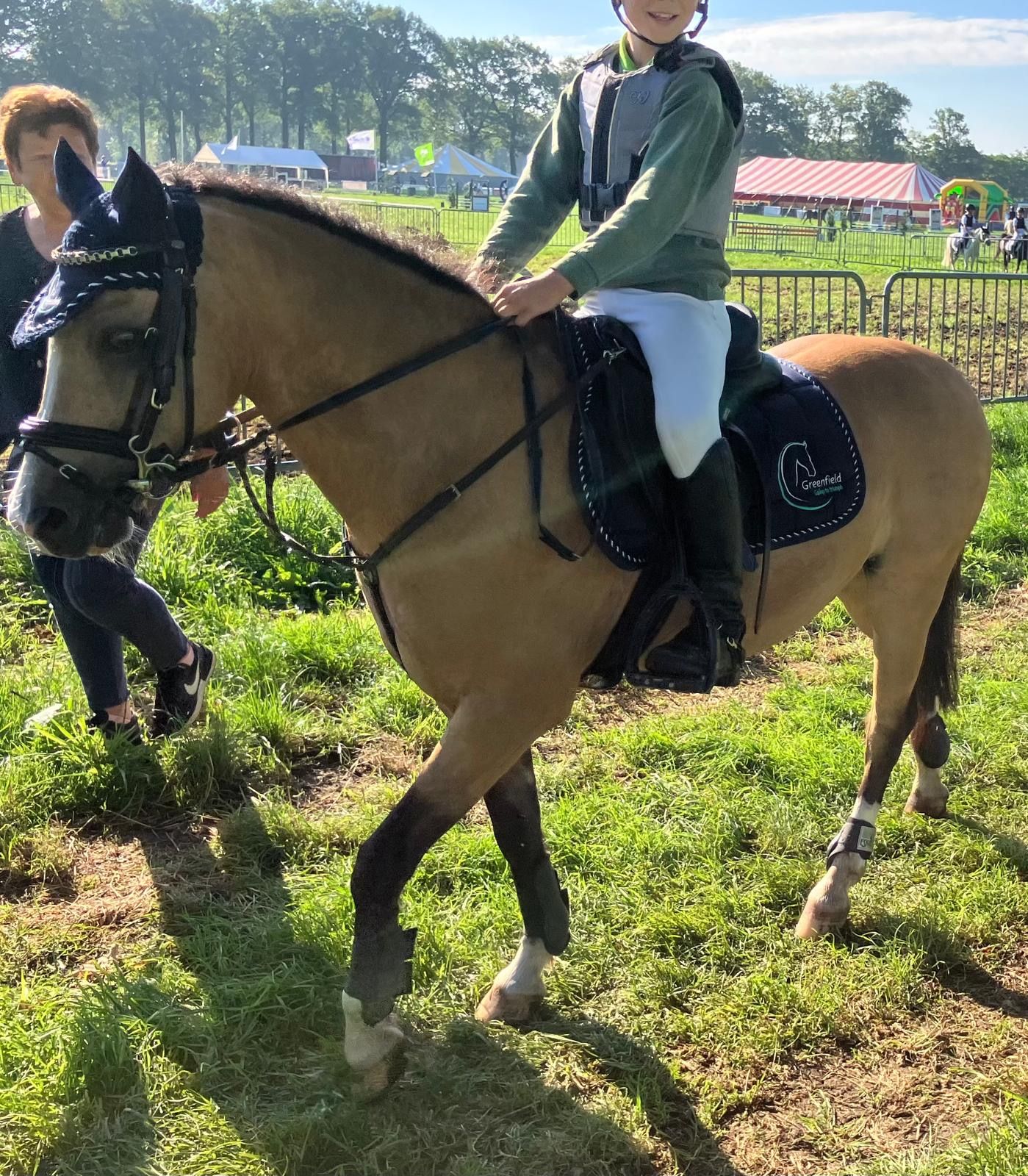 ander springpony ruin 14 ani andere-kleur de vânzare - Foto 2