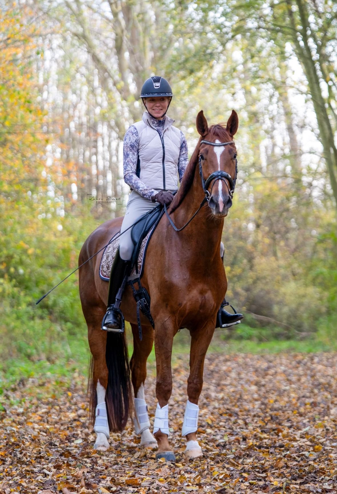 dressuurpaard merrie 5 jaar te koop - Foto 2