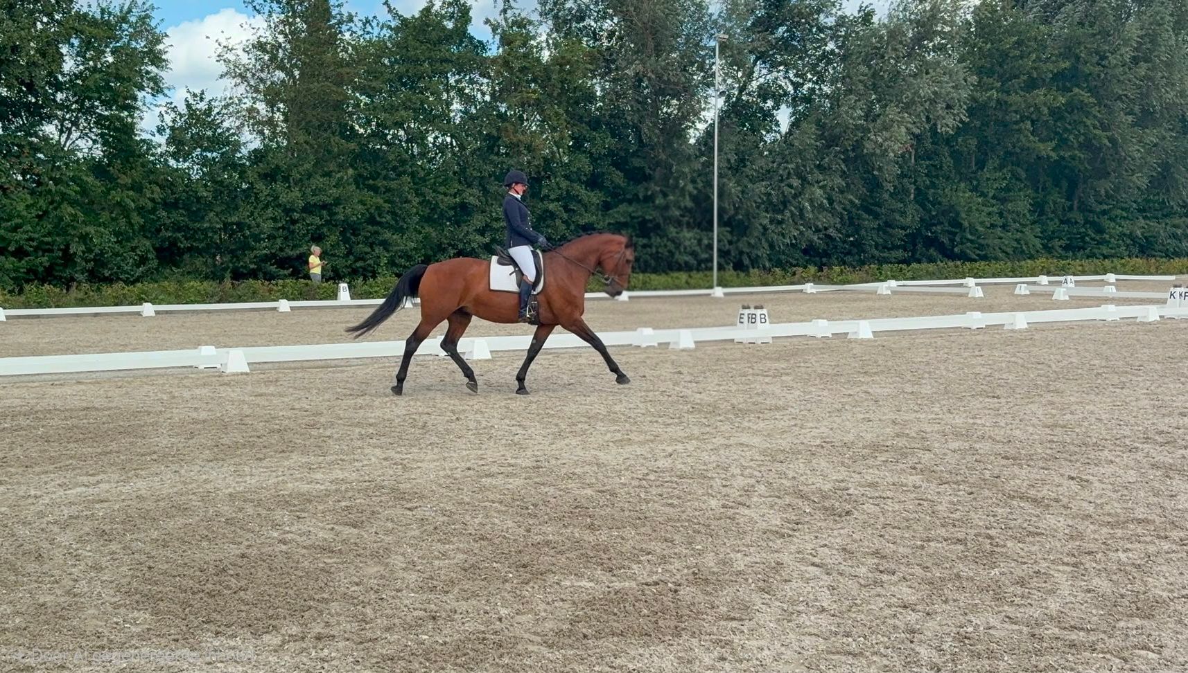 Talented 7-year-old ster mare for sale