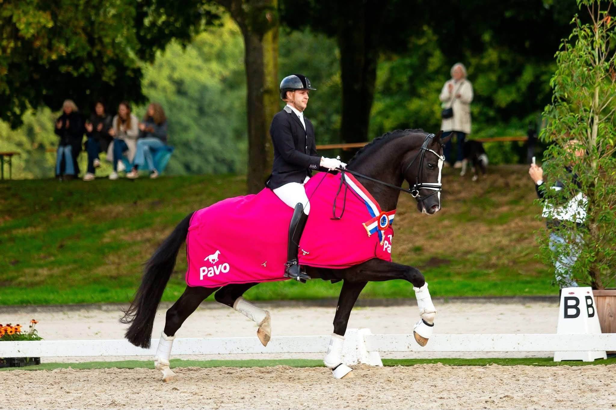 westfalen dressuurpaard hengst 0 years old zwart for sale - Photo 5