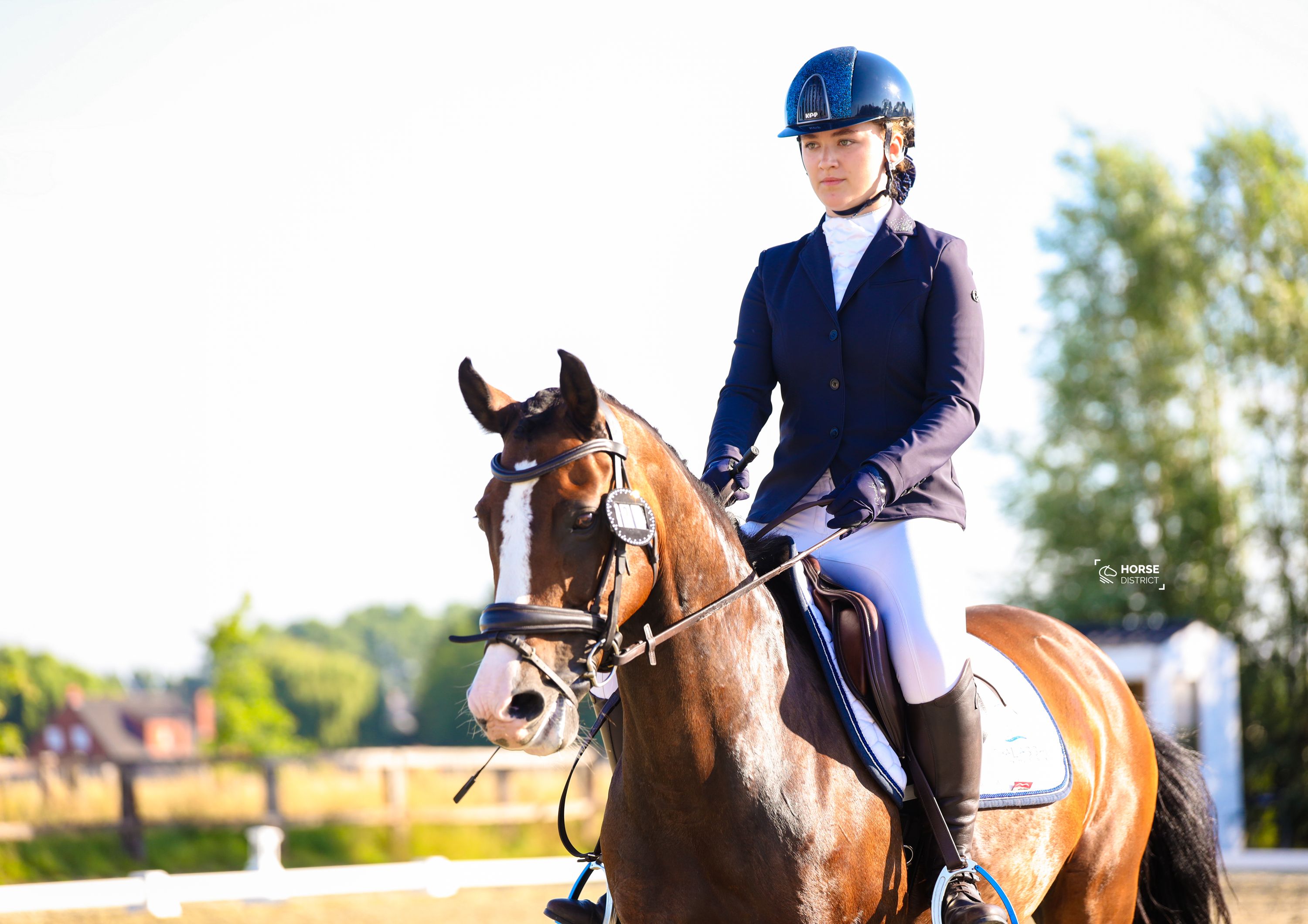 bwp dressuurpony merrie 18 ani kastanje de vânzare - Foto 3