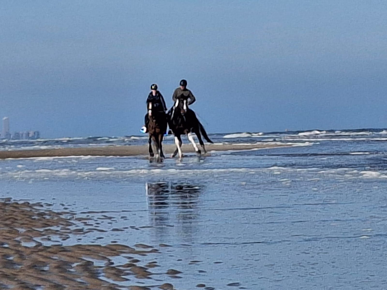 bwp dressuurpony merrie 18 ani kastanje de vânzare - Foto 4