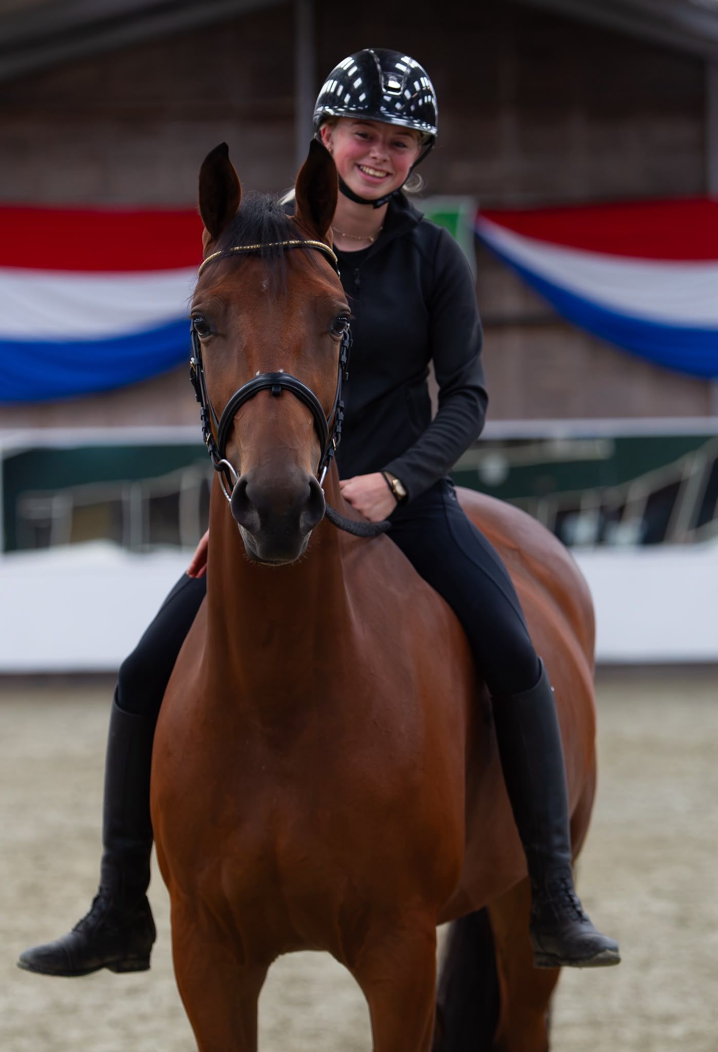 kwpn dressuurpaard merrie 4 Jahre alt bruin zu verkaufen - Foto 2