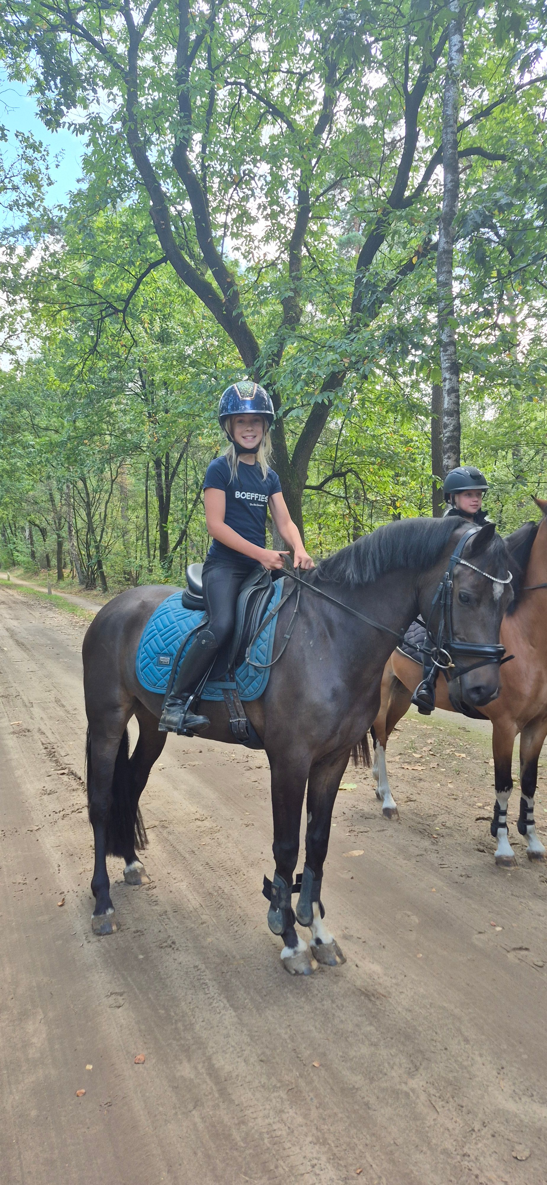 new-forest dressuurpony ruin 4 Jahre alt donkerbruin zu verkaufen - Foto 3