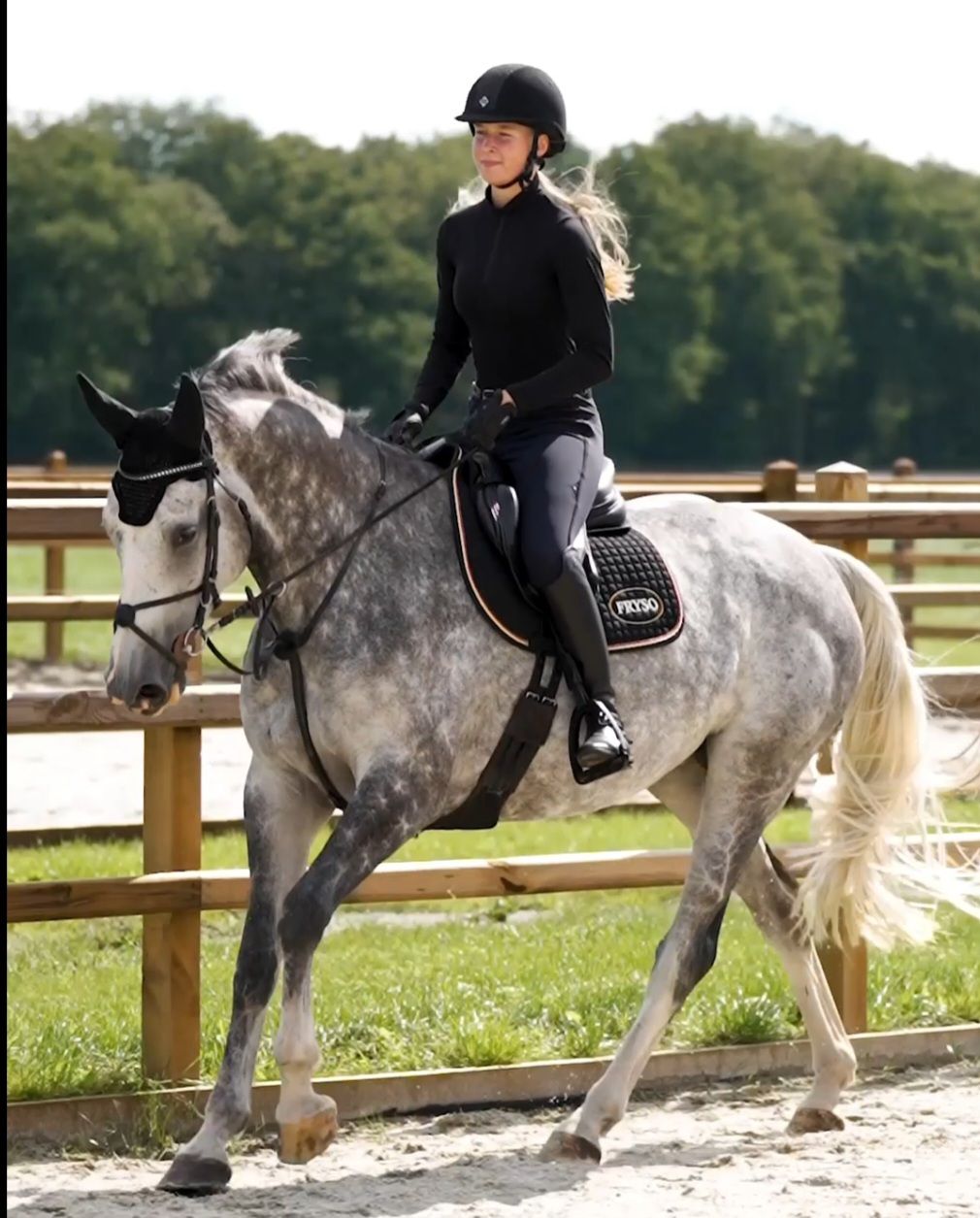 nrps springpaard merrie 7 år schimmel til salgs - Foto 3