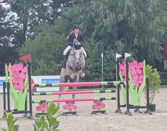 nrps springpaard merrie 7 år schimmel til salgs - Foto 4