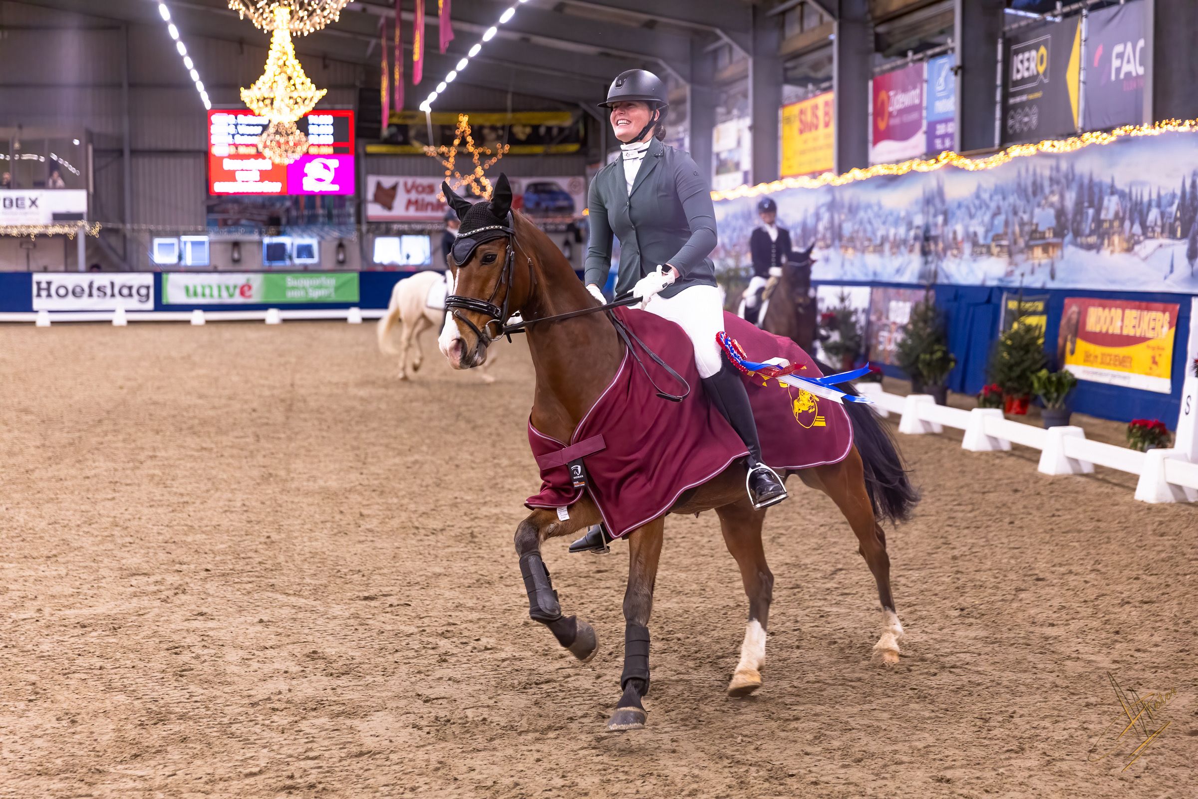 welsh dressuurpony ruin 10 Jahre alt bruin zu verkaufen - Foto 3