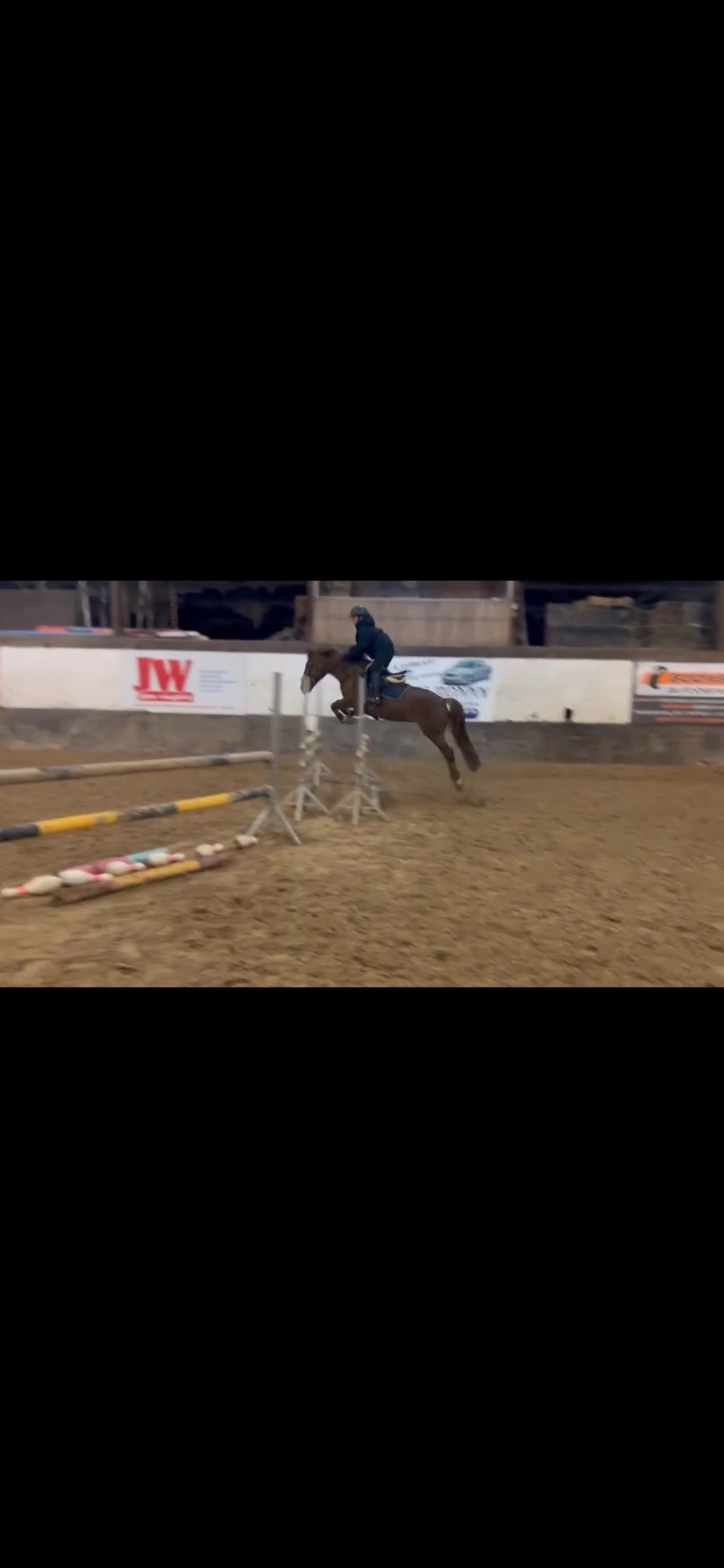 springpony merrie 17 Jahre alt vos zu verkaufen - Foto 5