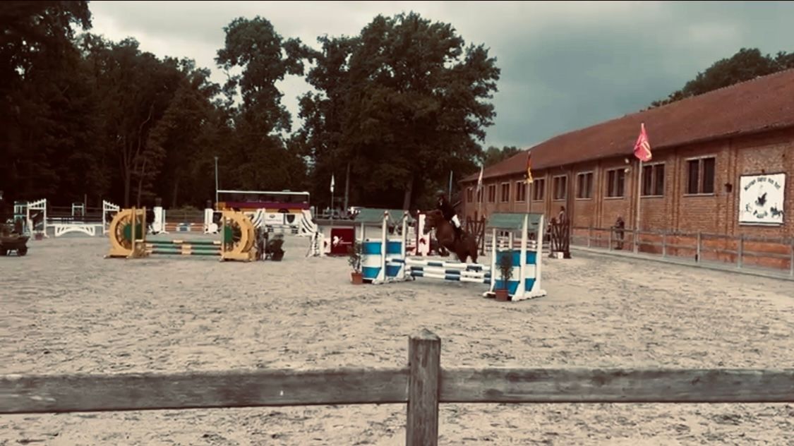 springpony merrie 17 Jahre alt vos zu verkaufen - Foto 2