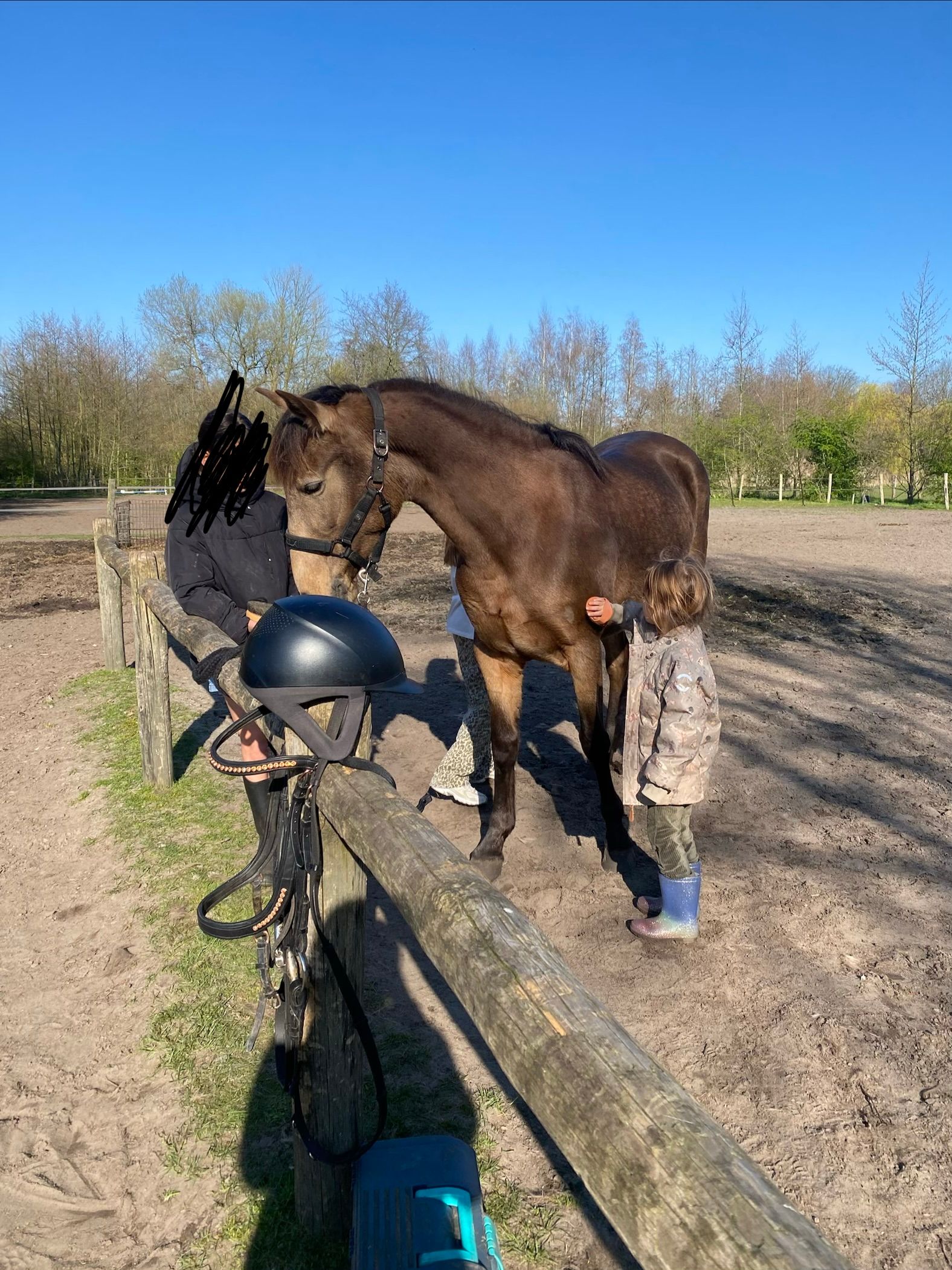 recreatie-pony merrie 8 jaar andere-kleur te koop - Foto 6