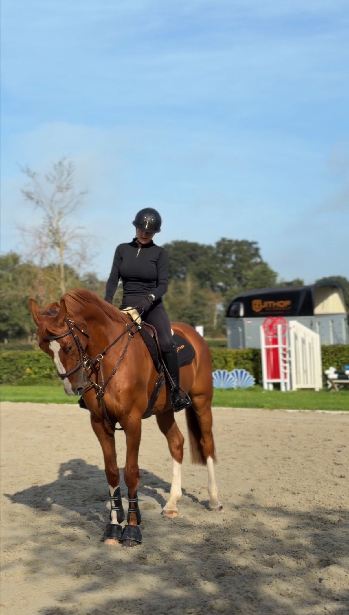 Opvallende eventing/springruin voor ambitieuze ruiter