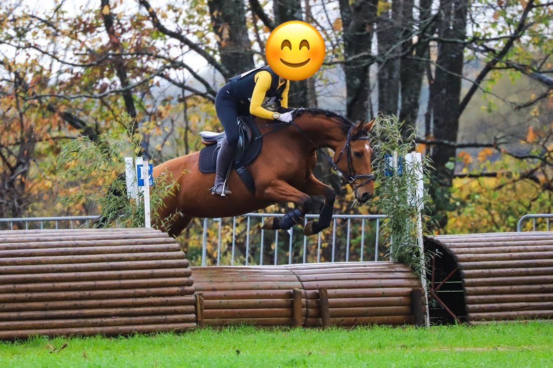 ✨ 5-jarige merrie van Cazan van het Schaeck | Fijn amateurpaard met goed karakter ✨