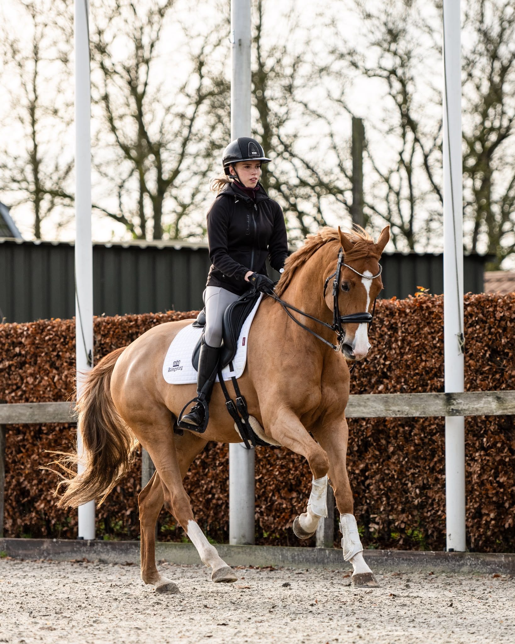 kwpn dressuurpaard merrie 13 jaar vos te koop - Foto 3