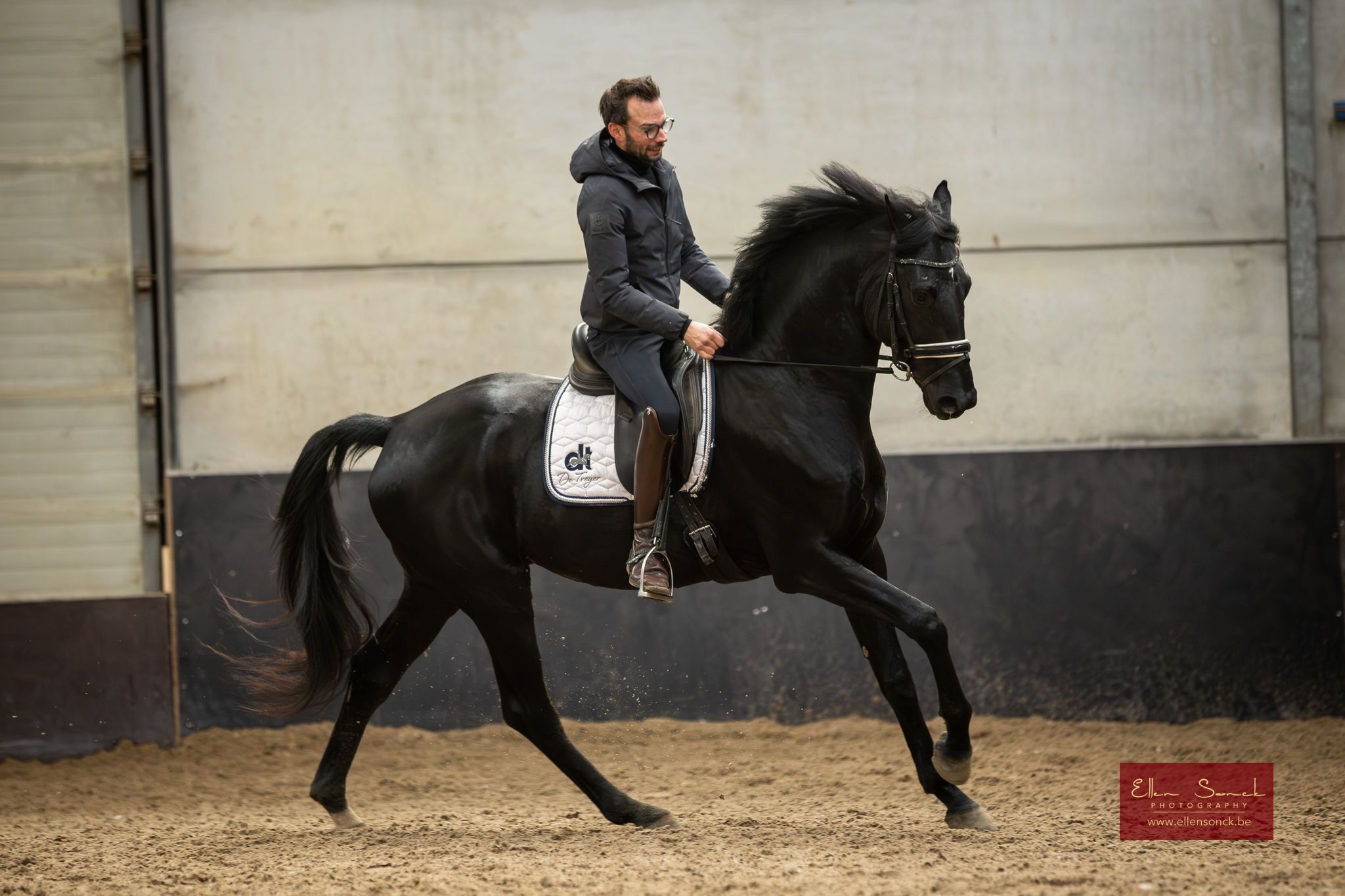 knappe 4 jarige dressuur ruin