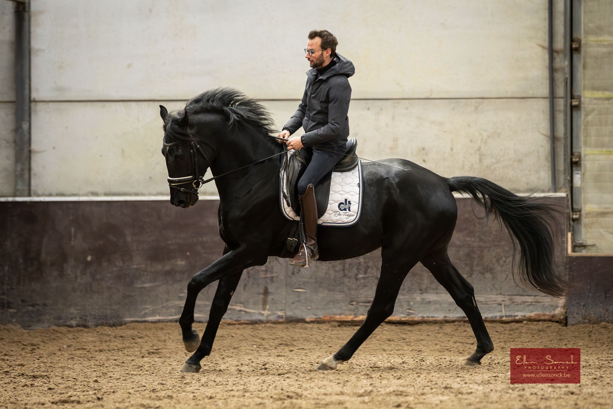 bwp dressuurpaard ruin 4 Jahre alt zwart zu verkaufen - Foto 4