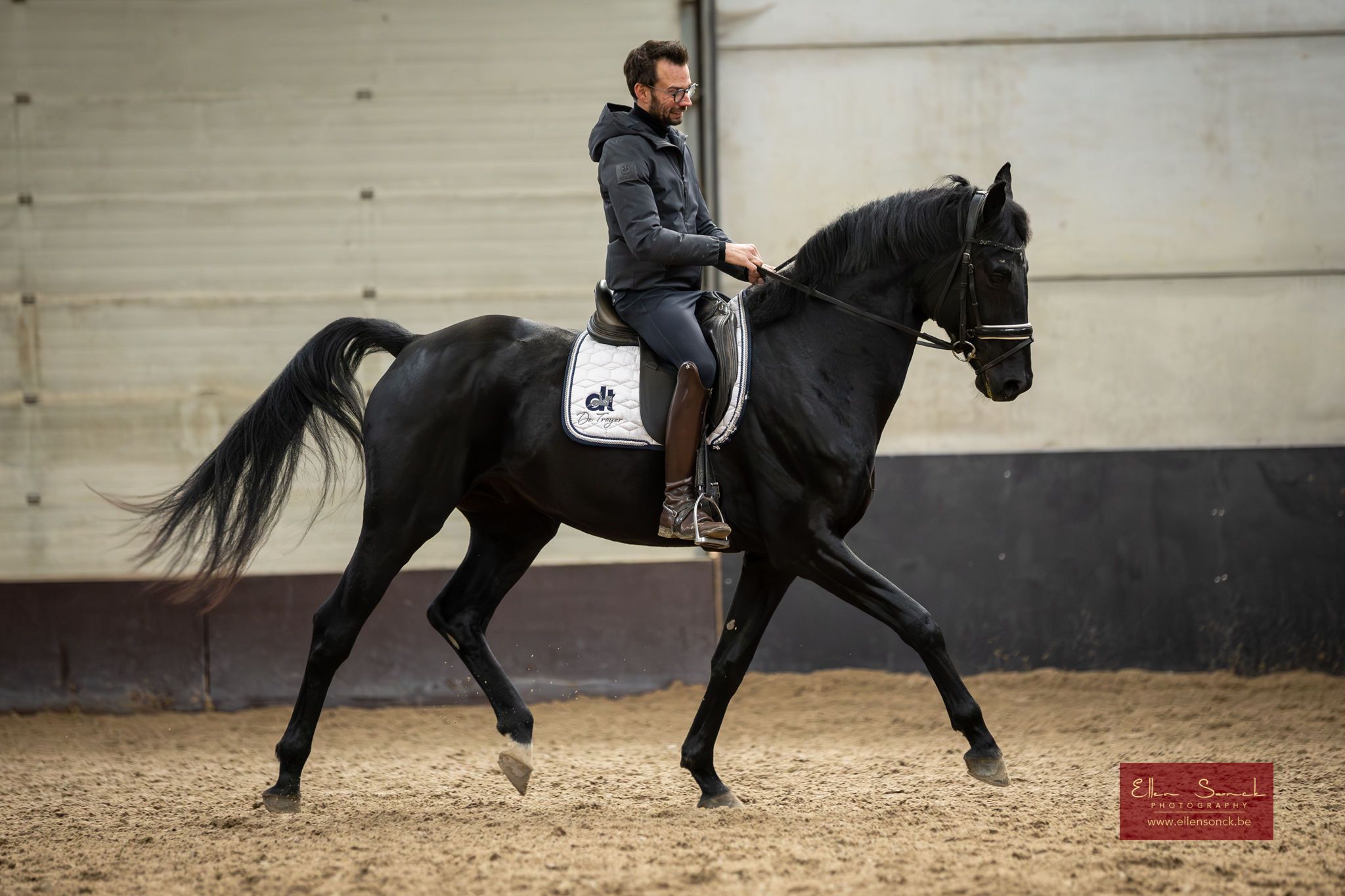 bwp dressuurpaard ruin 4 Jahre alt zwart zu verkaufen - Foto 3
