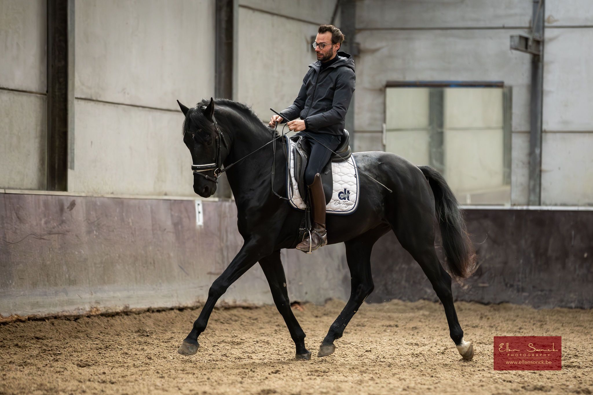 bwp dressuurpaard ruin 4 Jahre alt zwart zu verkaufen - Foto 5