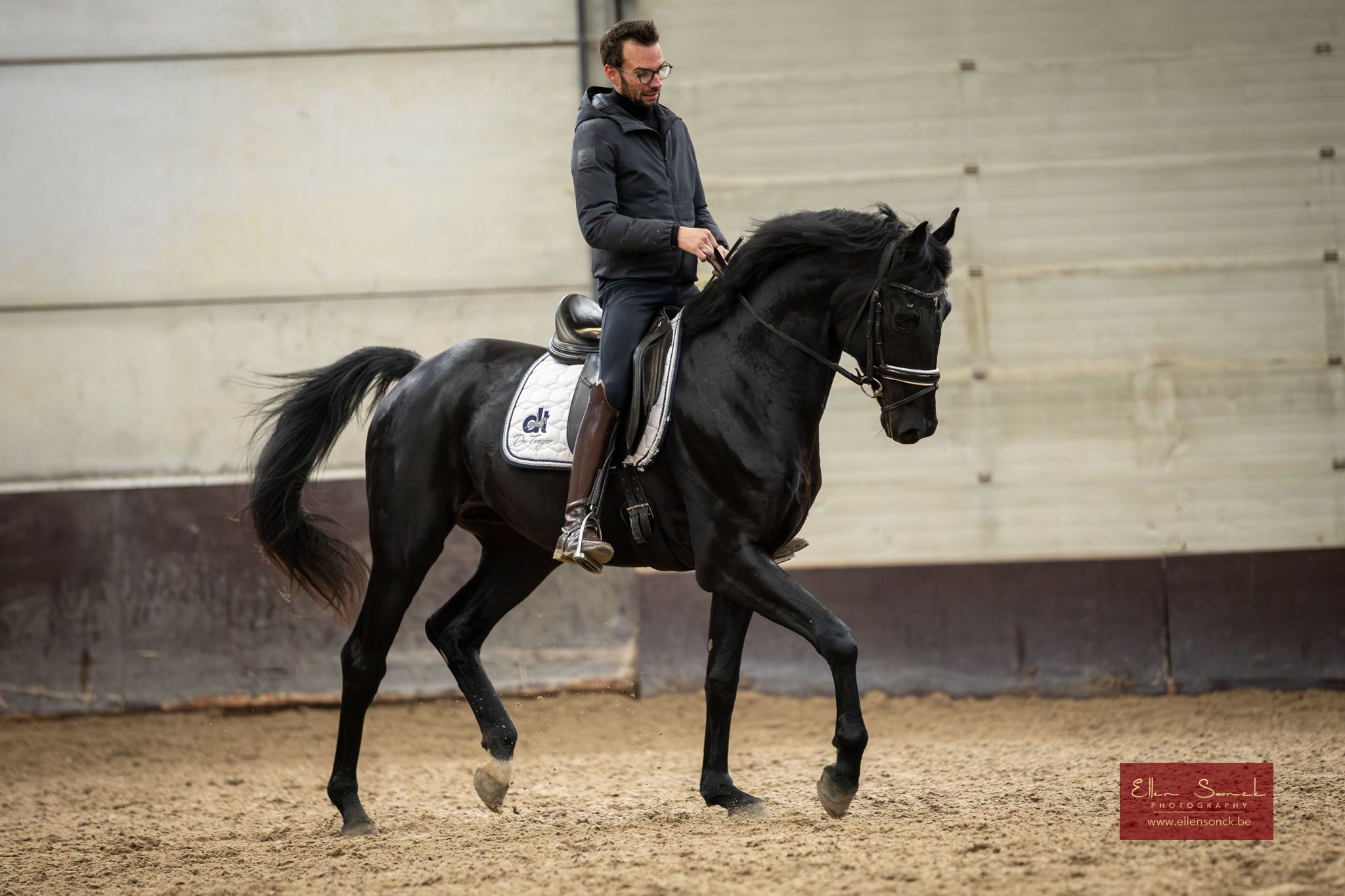bwp dressuurpaard ruin 4 Jahre alt zwart zu verkaufen - Foto 2