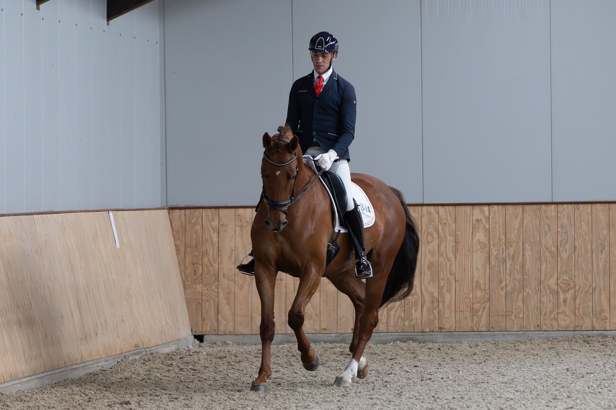 kwpn dressuurpaard merrie 6 Jahre alt vos zu verkaufen - Foto 2