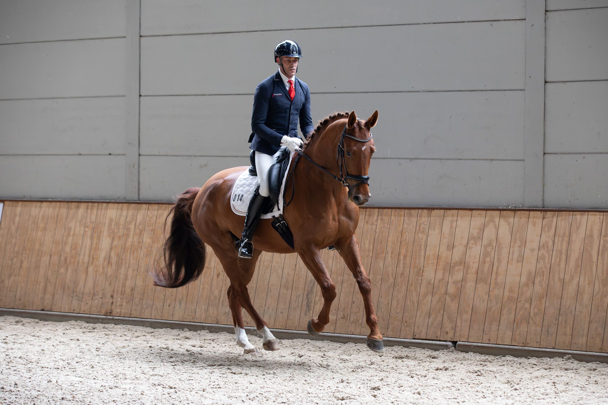 kwpn dressuurpaard merrie 6 Jahre alt vos zu verkaufen - Foto 4