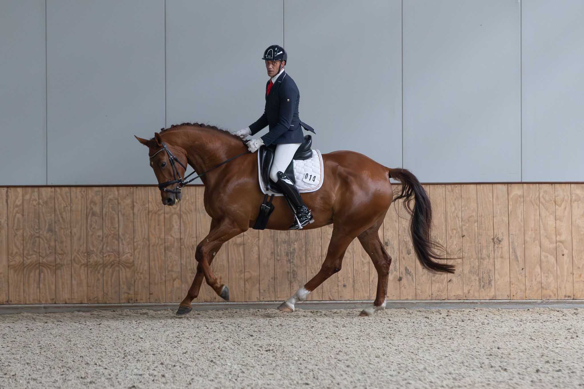 kwpn dressuurpaard merrie 6 Jahre alt vos zu verkaufen - Foto 3