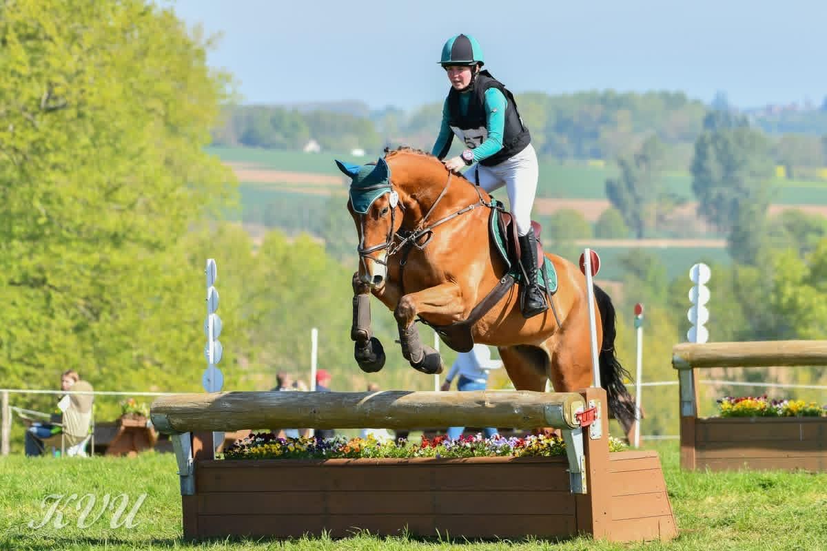 Tof eventing/allround paard