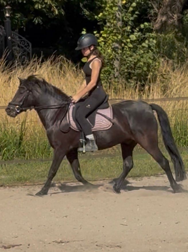 Sweet B-pony
