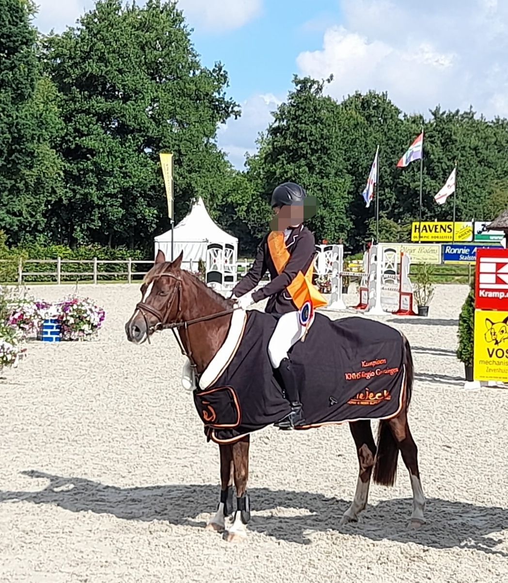 welsh allround-pony merrie 17 ετών vos προς πώληση - Φωτογραφία 2