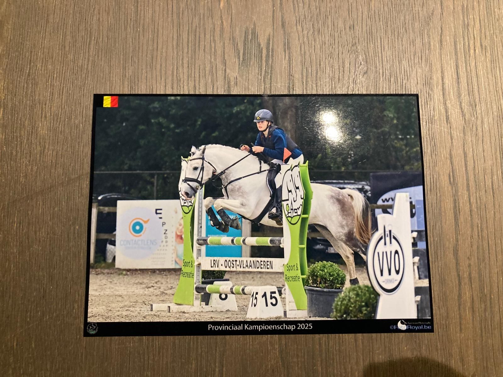 allround-pony merrie 6 岁 andere-kleur 出售 - 照片 3