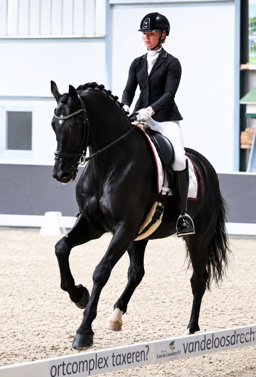 Knappe zwarte 10 jarige ruin