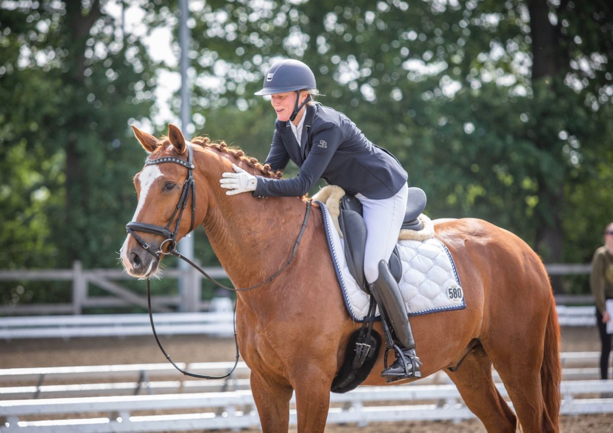 kwpn dressuurpaard ruin 7 ani vos de vânzare - Foto 5
