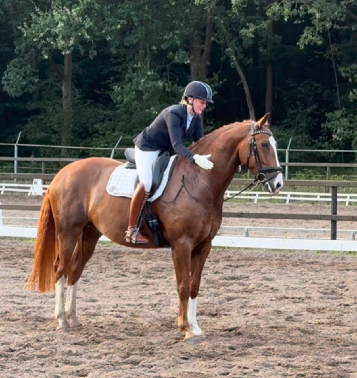 kwpn dressuurpaard ruin 7 ani vos de vânzare - Foto 6