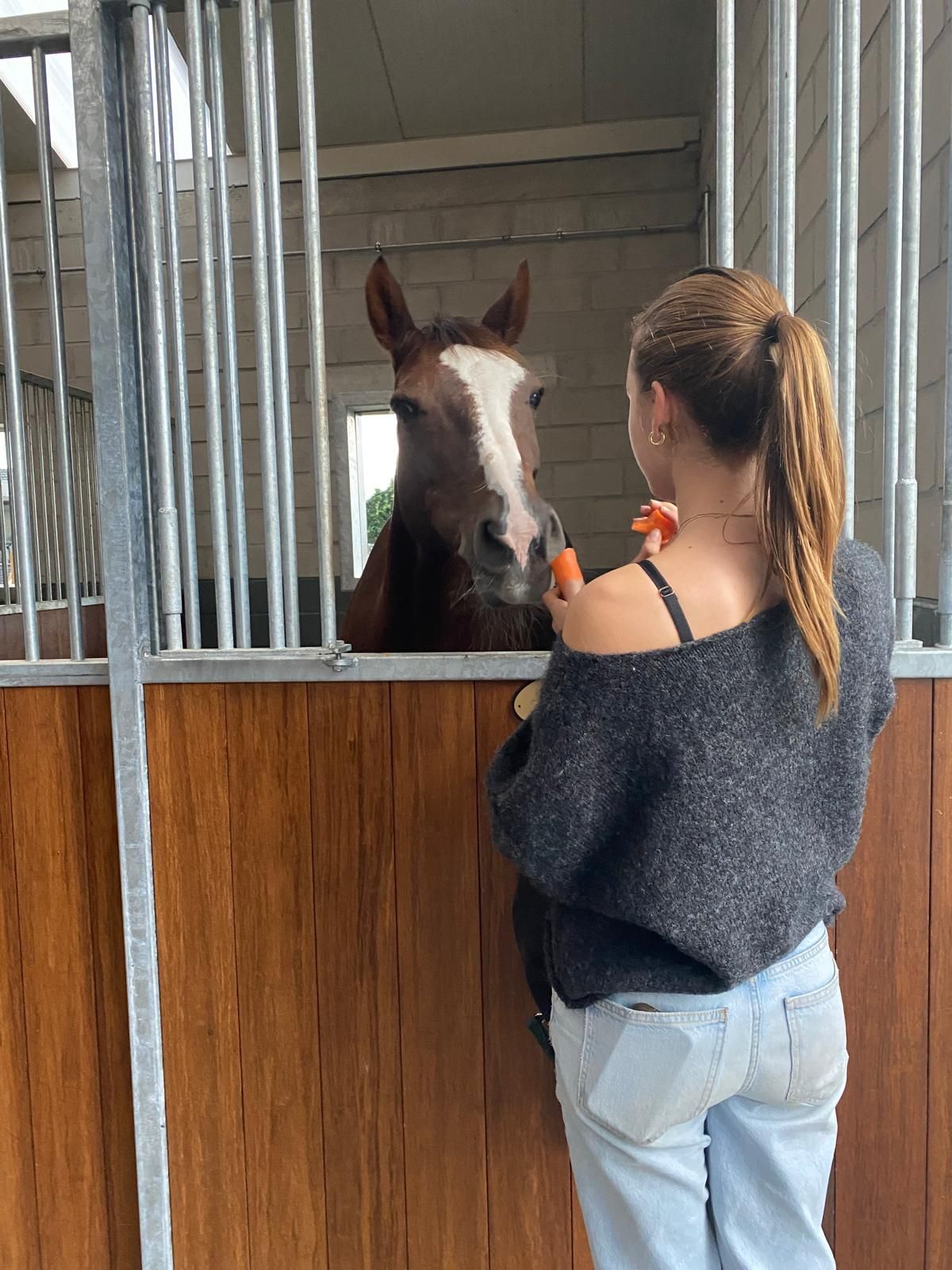 pony merrie 18 jaar te koop - Foto 2