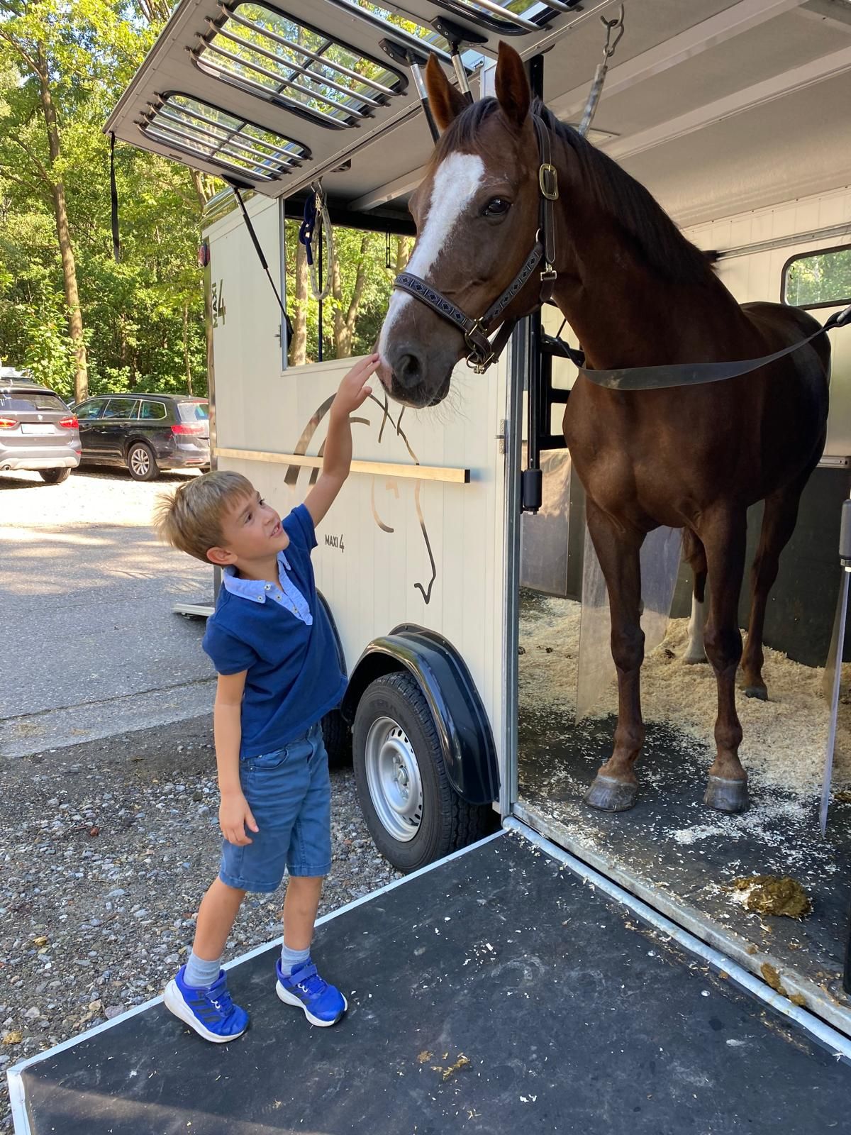 pony merrie 18 jaar te koop - Foto 3