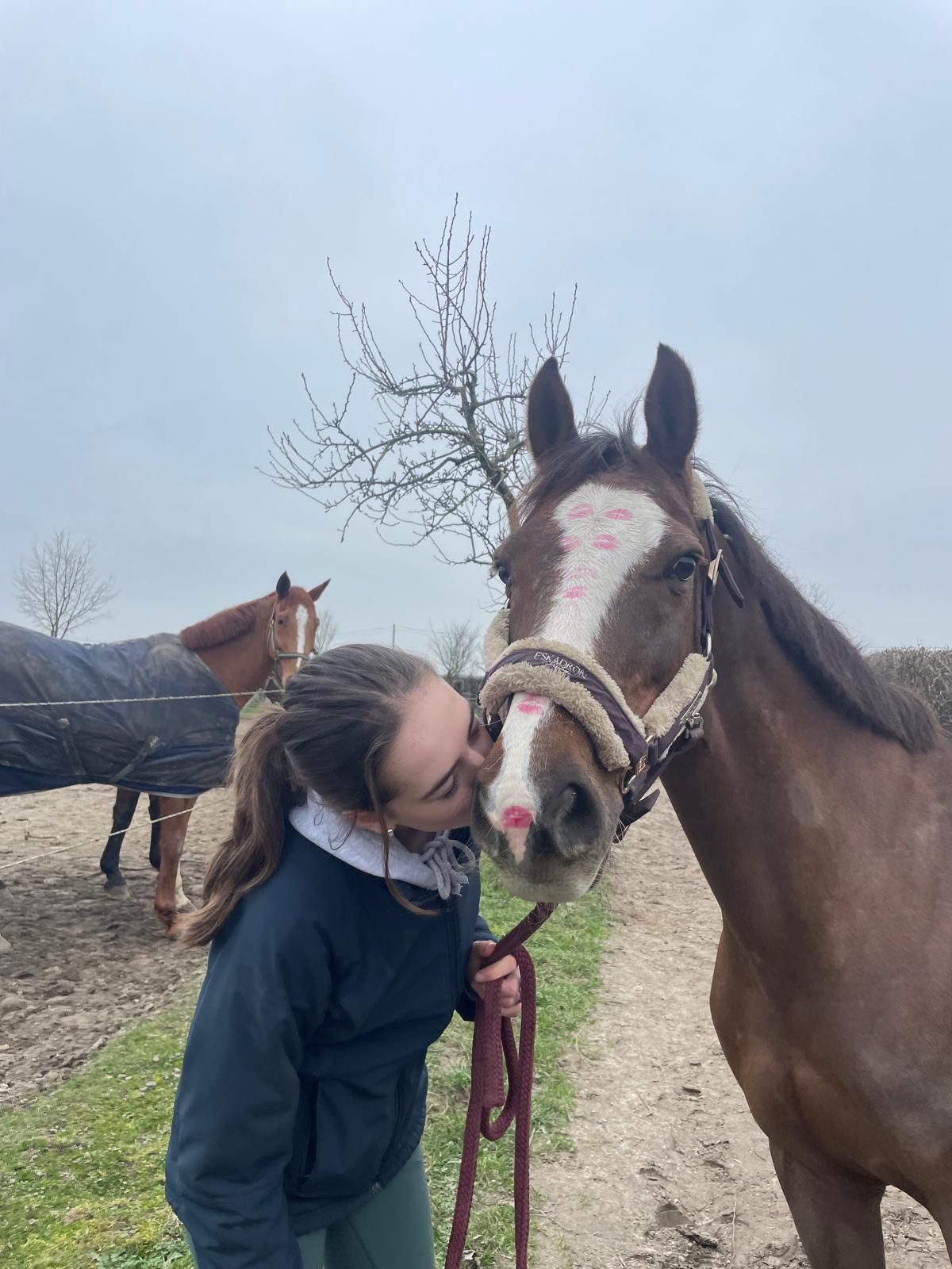 pony merrie 18 jaar te koop - Foto 5