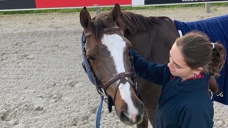 pony merrie 18 jaar te koop - Foto 6