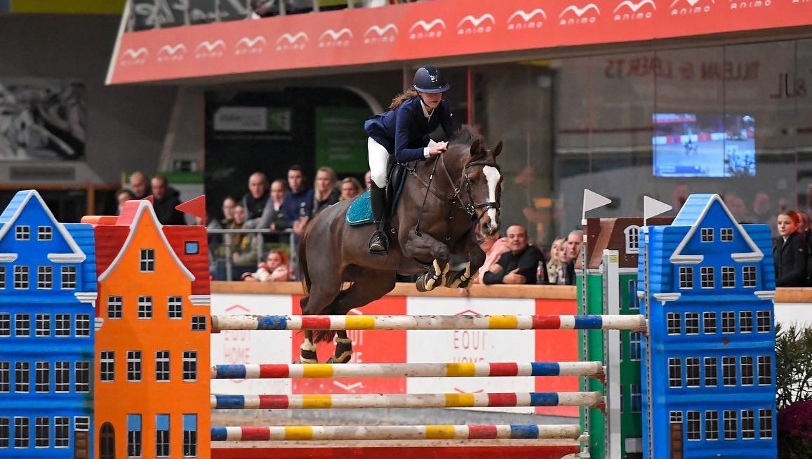 Pony te koop