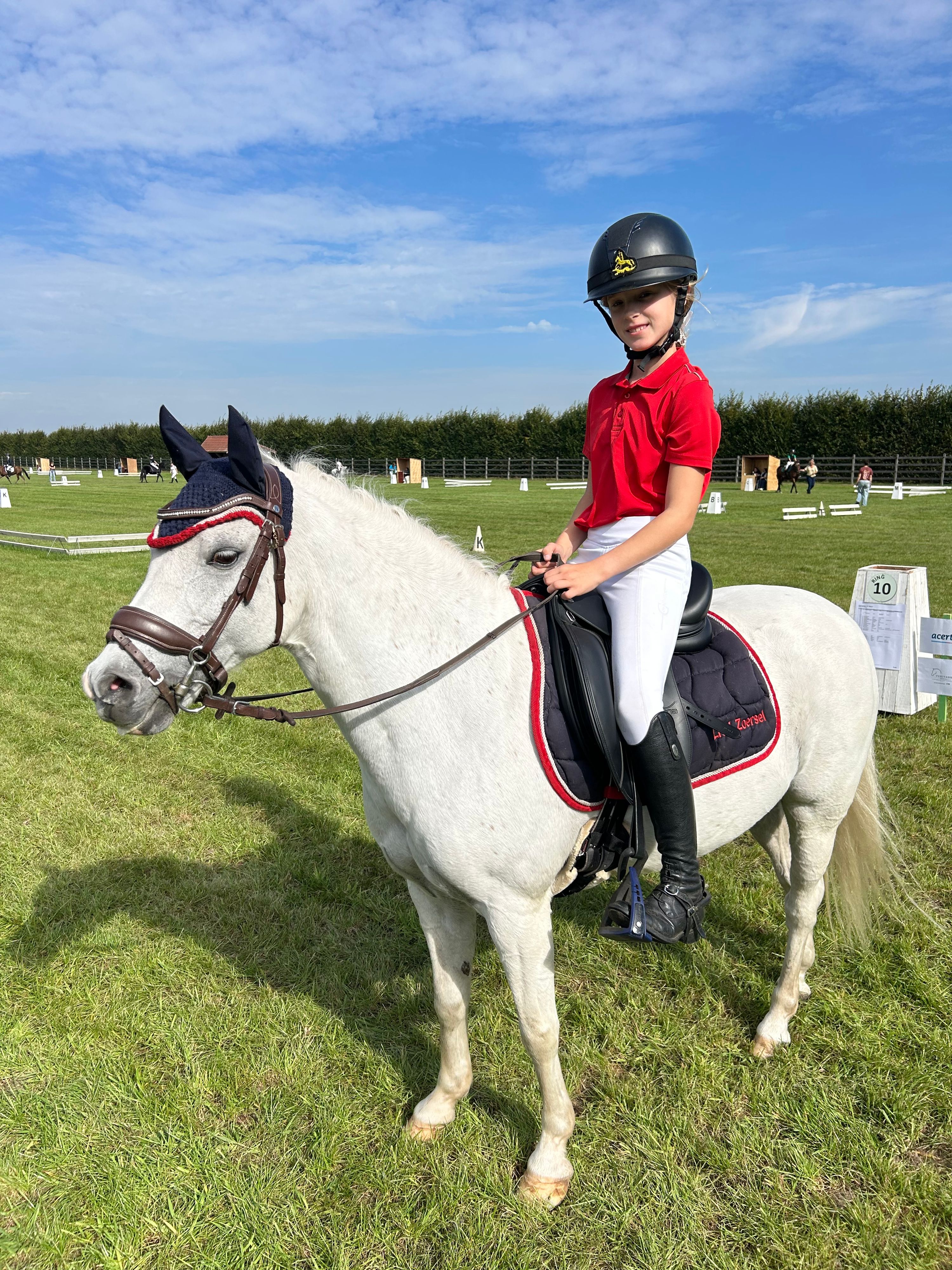 B-pony ruin, provinciaal kampioen LRV