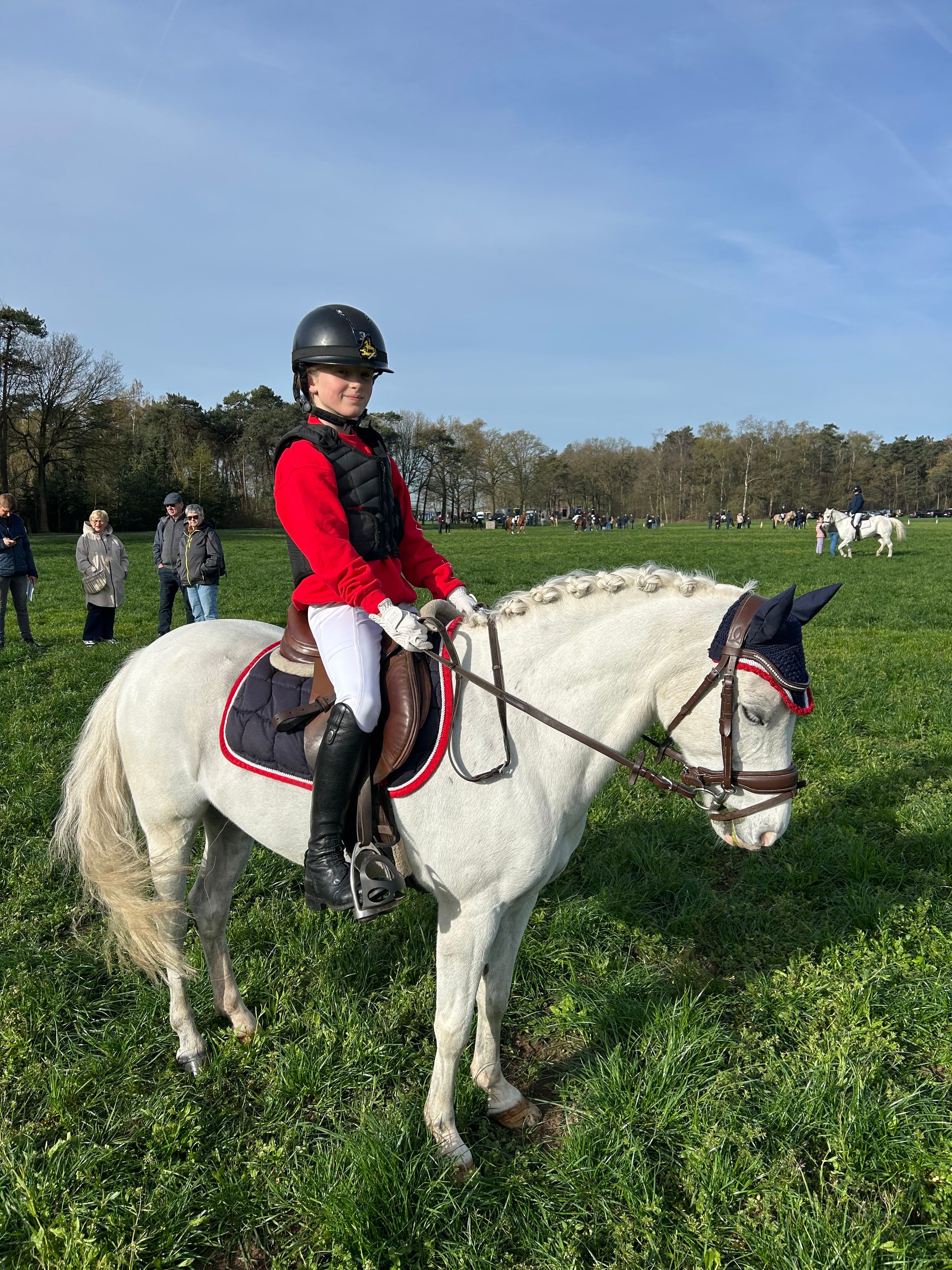 bwp allround-pony ruin 15 jaar schimmel te koop - Foto 4