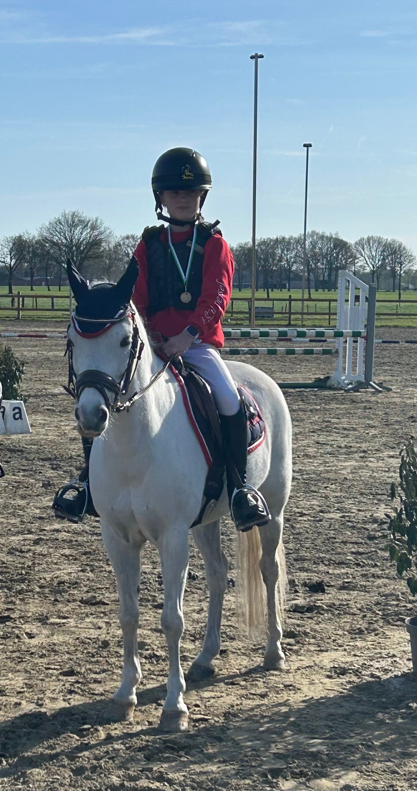 bwp allround-pony ruin 15 jaar schimmel te koop - Foto 3