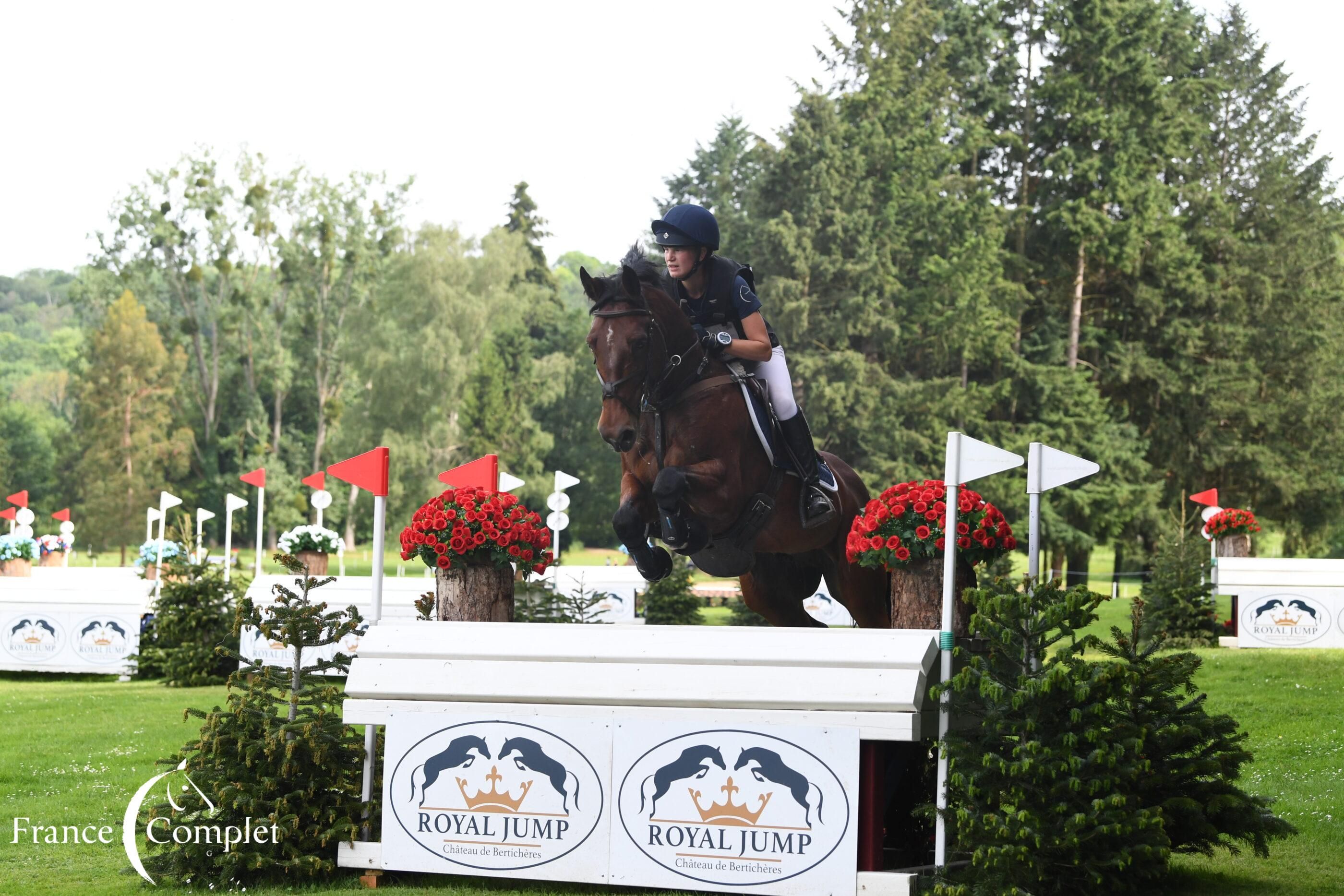 zangersheide eventingpaard ruin 8 år bruin till salu - Foto 2