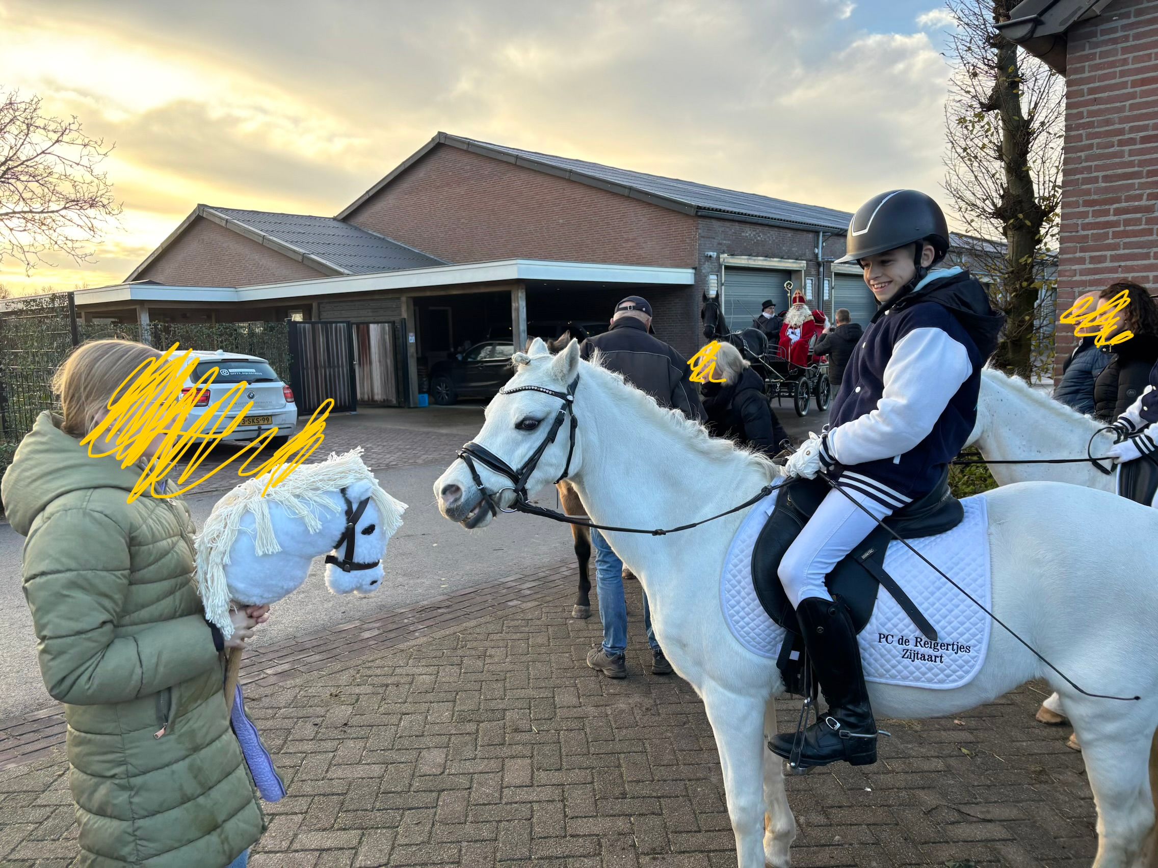 welsh allround-pony merrie 16 år schimmel till salu - Foto 3