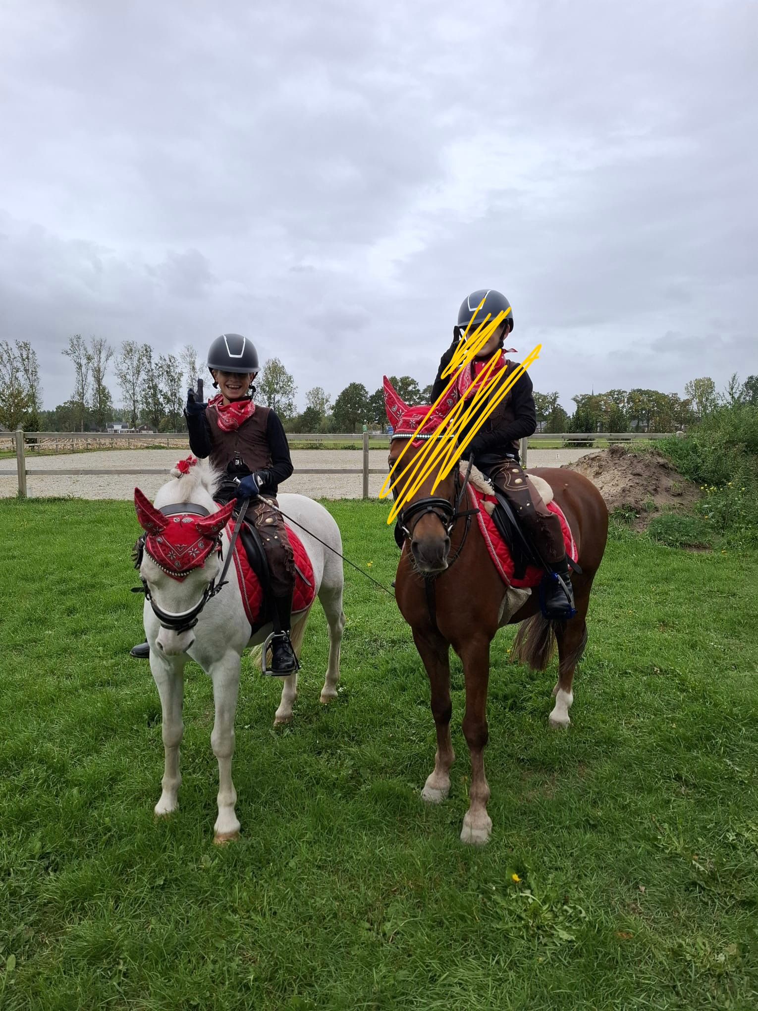 welsh allround-pony merrie 16 år schimmel till salu - Foto 6