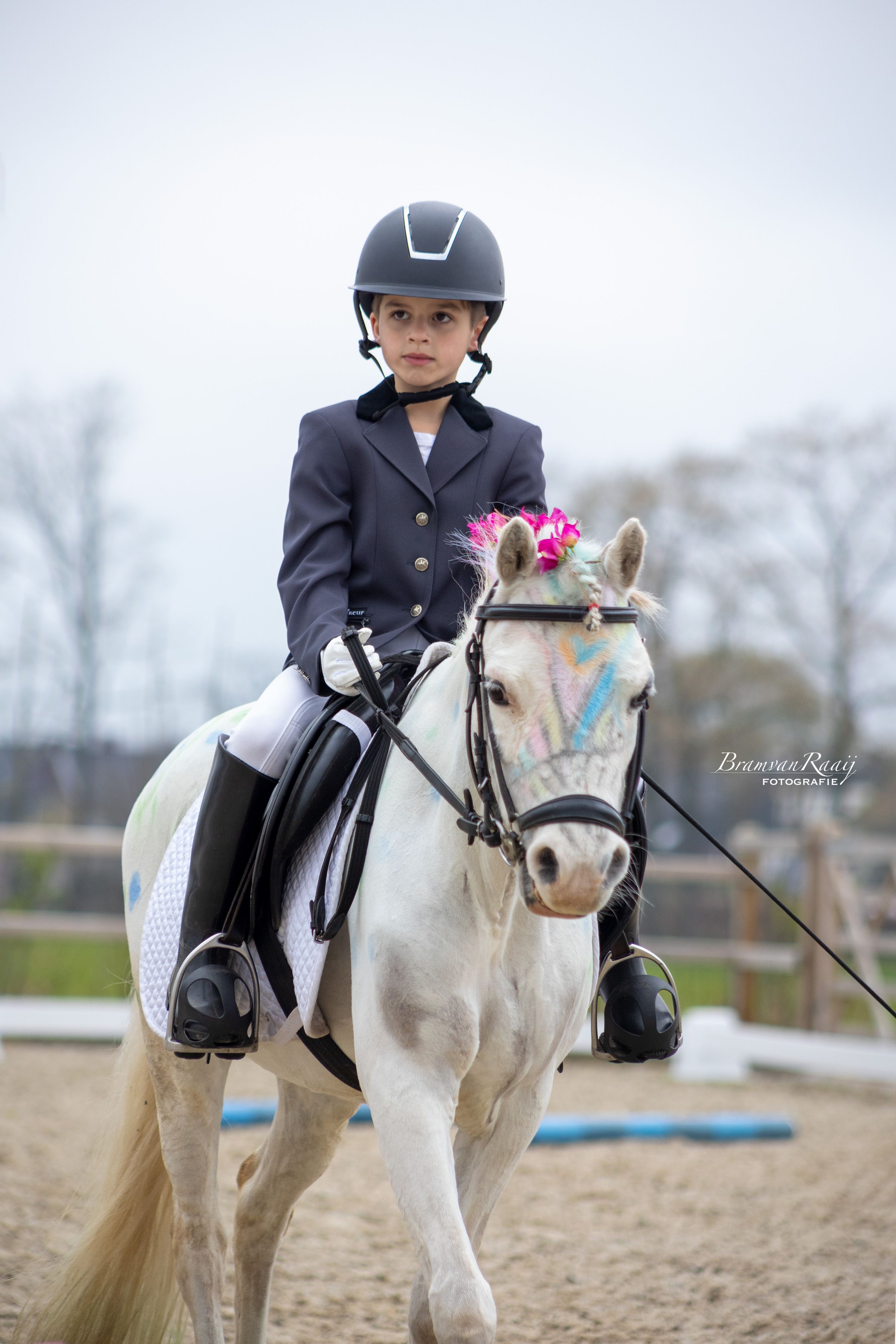 Beautiful experienced Welsh pony, L2 dressage