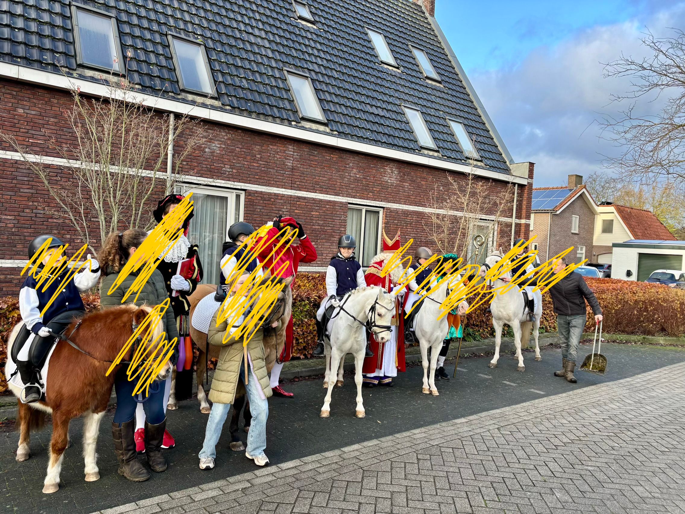 welsh allround-pony merrie 16 år schimmel till salu - Foto 4