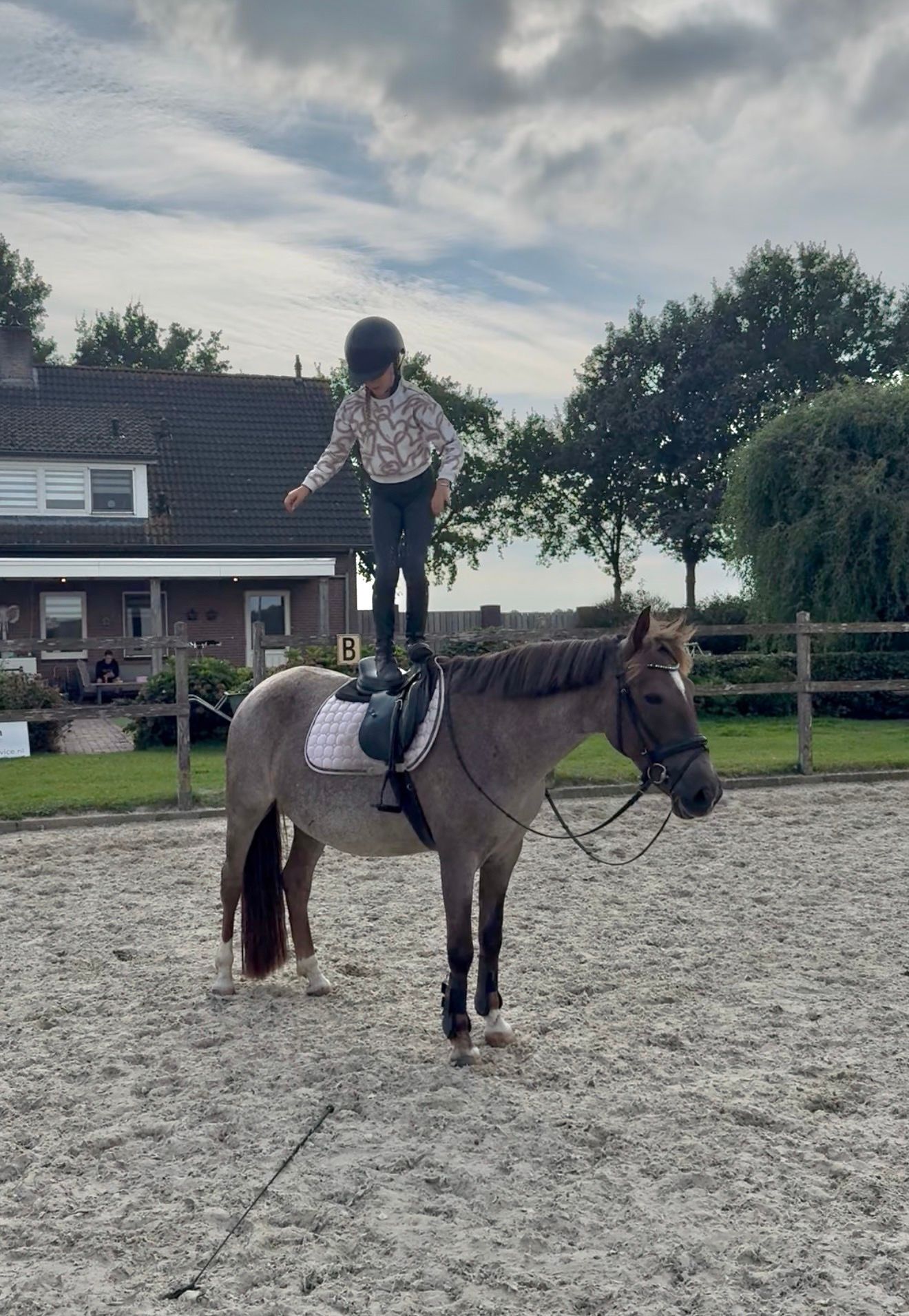 ander recreatie-pony merrie 10 år roan till salu - Foto 2